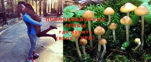 ALPHA-PVP Алзамай