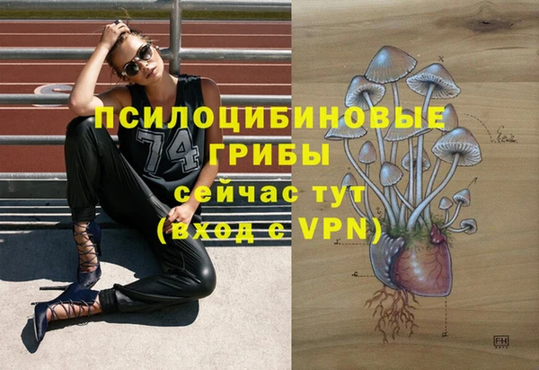 герыч Алексеевка