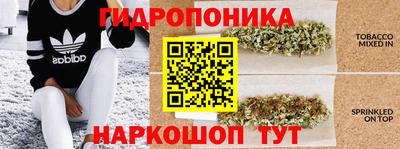 ГАЛЛЮЦИНОГЕННЫЕ ГРИБЫ Волжский