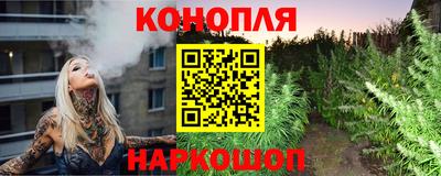 прущие грибы Волжск