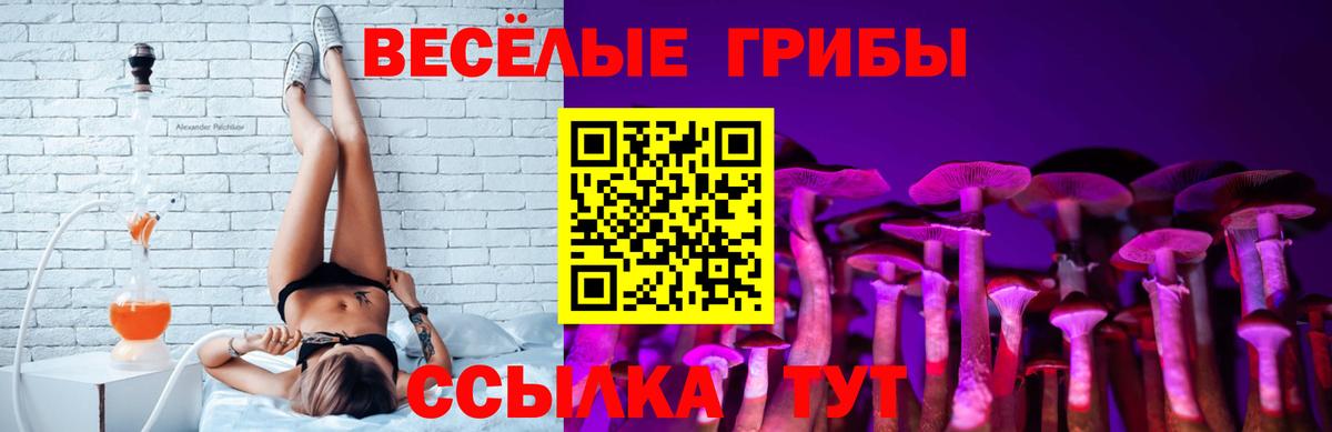Псилоцибиновые грибы MAGIC MUSHROOMS Качканар